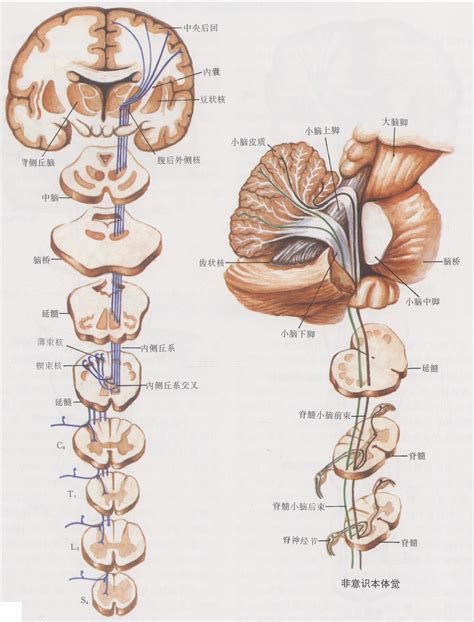 霹雳火和谁在一起最相配？,第3张